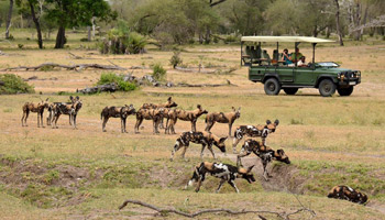 10 Days Best Of Tanzania Southern Circuit Safari