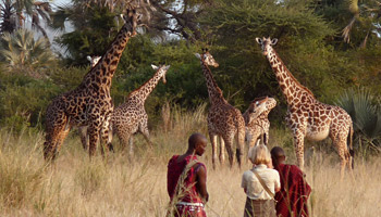 10 Days Best Of Tanzania Southern Circuit Safari