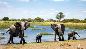3 Days Southern Safari To Nyerere