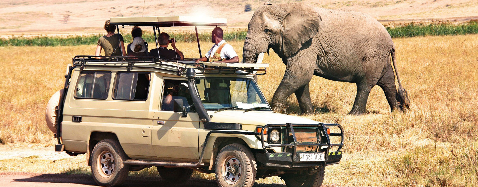 7 Days Tanzania Heritage Wildlife Safaris