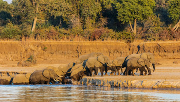7 Days Tanzania Western Safari to Mahale, Gombe and Kigoma