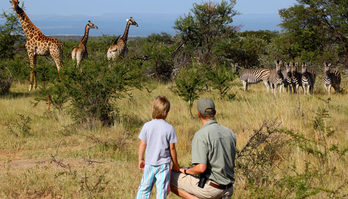 8 Days Tanzania Southern Wildlife Experience