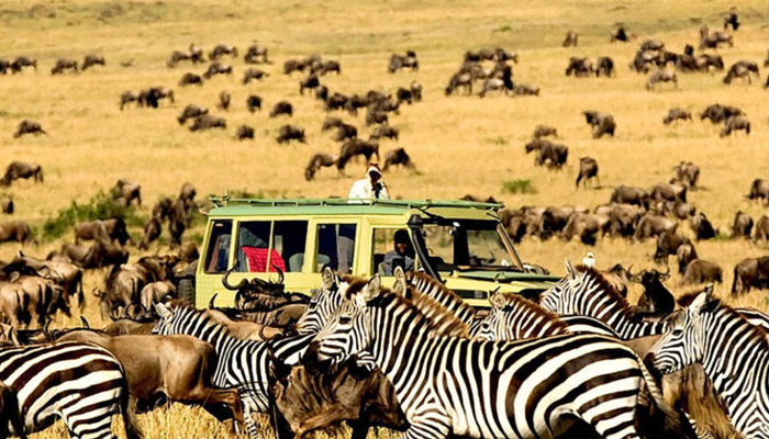9 Days Honeymoon Safari - Wildebeest Migration & Zanzibar Beach Holiday