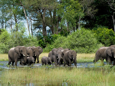 8 Days Tanzania Southern Wildlife Experience