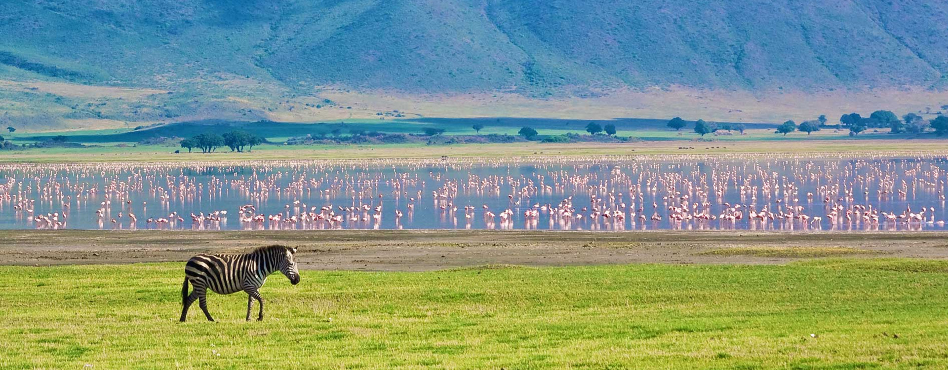 Ngorongoro Creater Day Trip
