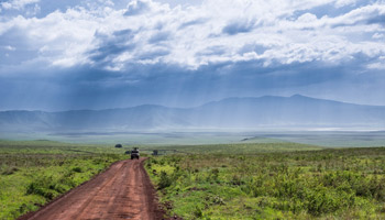 Ngorongoro Creater Day Trip