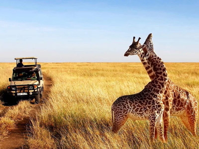 Western Tanzania Safari